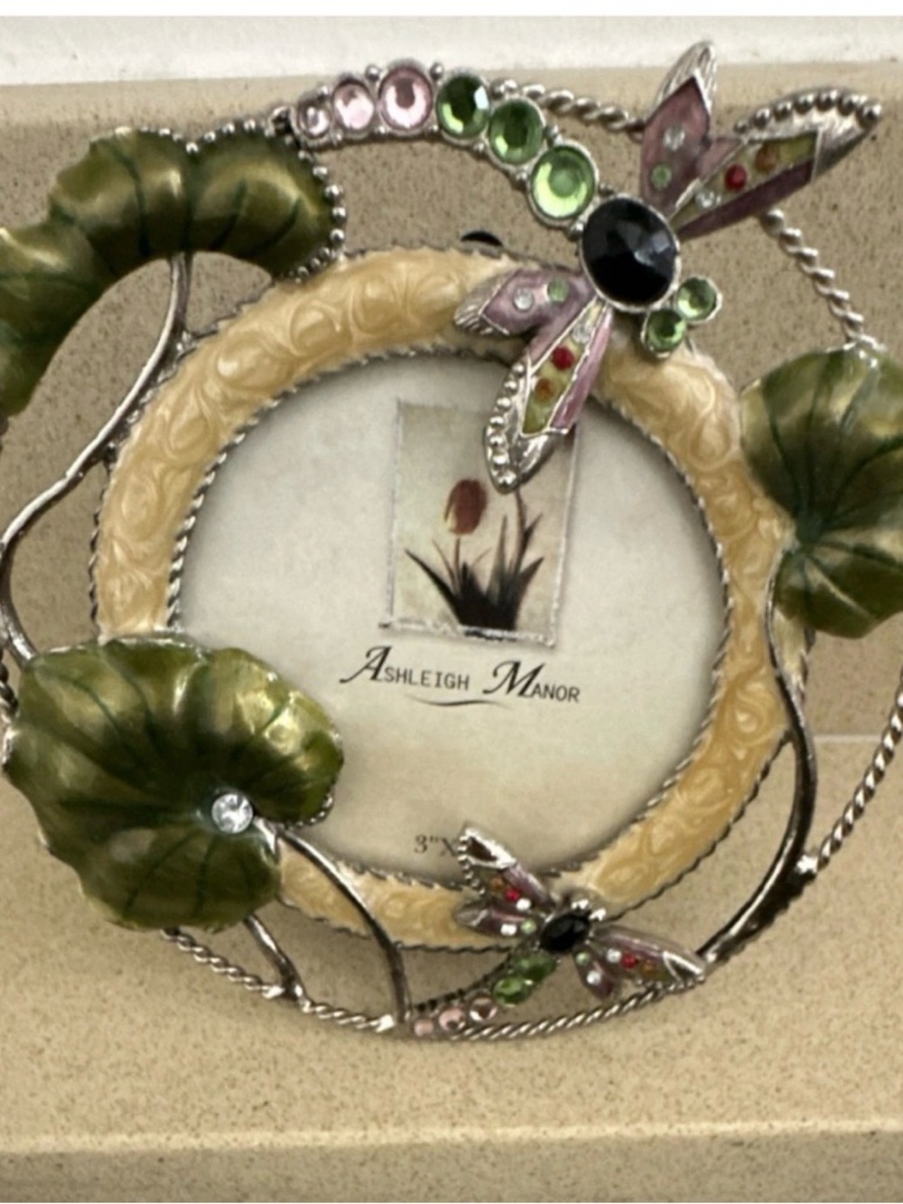 Ashleigh Manor Floral Dragonfly Picture Frame - Green & Cream